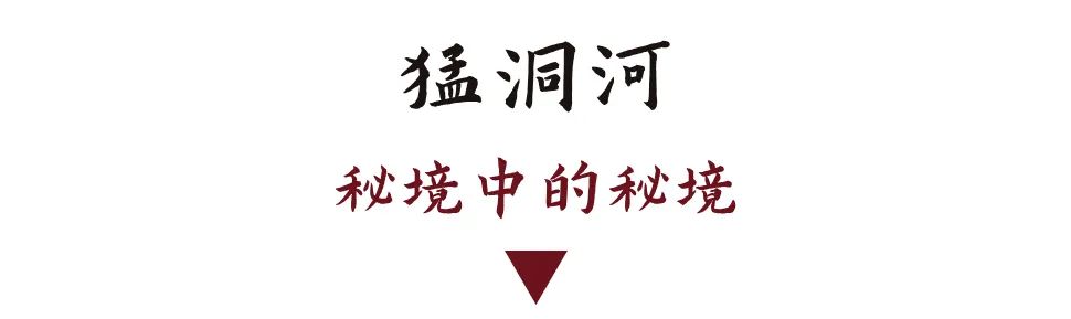 DƬ